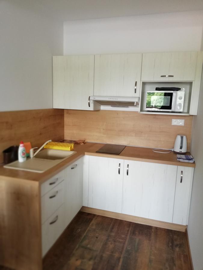 Apartman Skalnicka - Tatranská Lomnica Extérieur photo